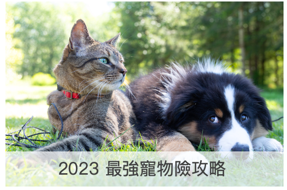 /2023寵物險投保重點！3家最強寵物險一次比較！/